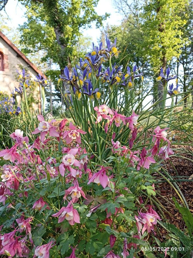The Cosy Retreat Villa Mornay-sur-Allier Luaran gambar